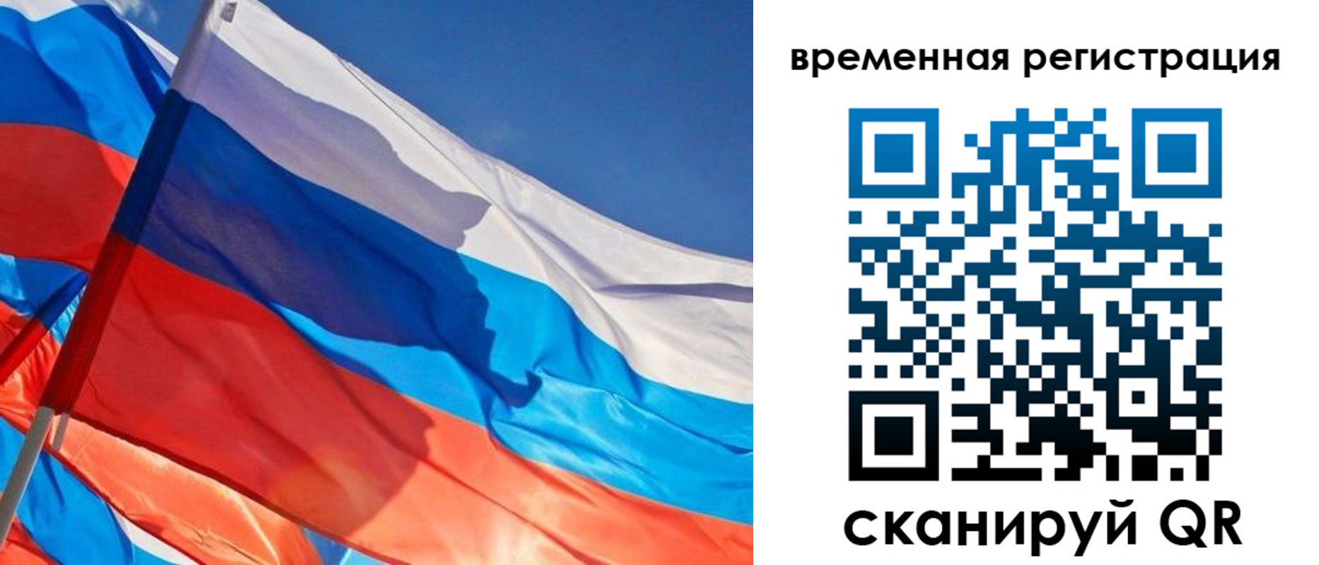 прописка гарантия в Ясногорске